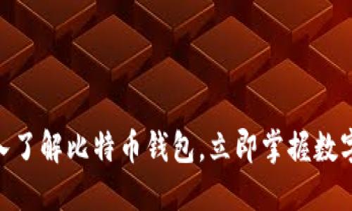 2025必看：深入了解比特币钱包，立即掌握数字资产安全技巧