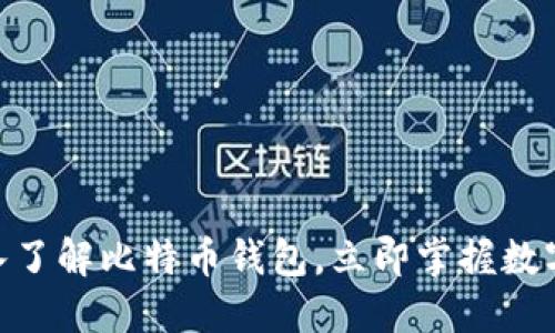 2025必看：深入了解比特币钱包，立即掌握数字资产安全技巧