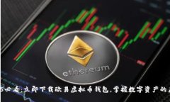 2025必看：立即下载欧易虚拟币钱包，掌握数字资