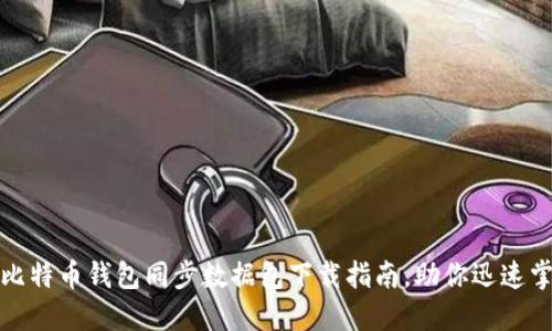 2025必看：比特币钱包同步数据包下载指南，助你迅速掌握数字货币