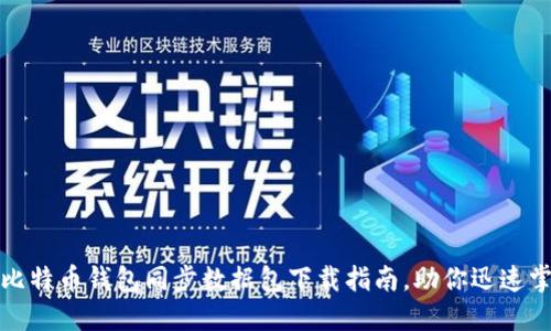 2025必看：比特币钱包同步数据包下载指南，助你迅速掌握数字货币