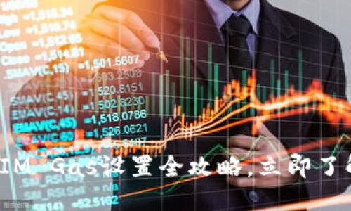 2025必看：TokenIM Gas设置全攻略，立即了解区块链交易技巧