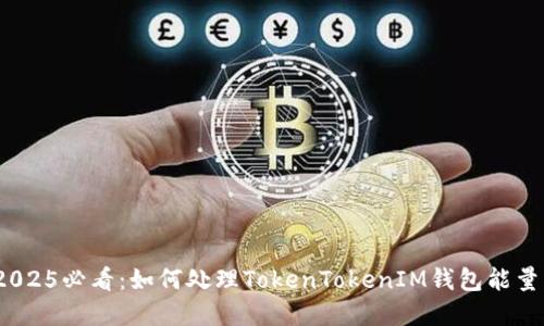 立即解决！2025必看：如何处理TokenTokenIM钱包能量不足的问题