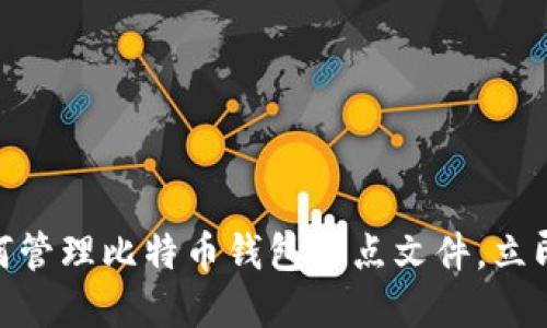 2025必看：如何管理比特币钱包节点文件，立即掌握关键技巧