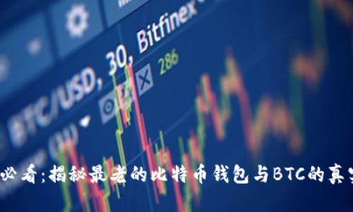 “2025必看：揭秘最老的比特币钱包与BTC的真实历程”