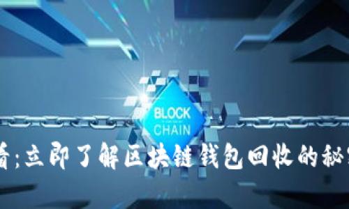 2025必看：立即了解区块链钱包回收的秘密和Tips！