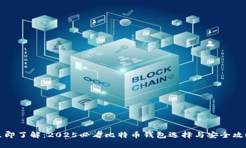 立即了解：2025必看比特币钱包选择与安全攻略