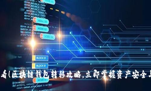 2025必看！区块链钱包转移攻略，立即掌握资产安全与流动性