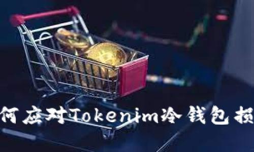 2025必看：如何应对Tokenim冷钱包损坏的紧急情况