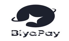 2025必看：USDT钱包的安全性分析与建议，立即了解