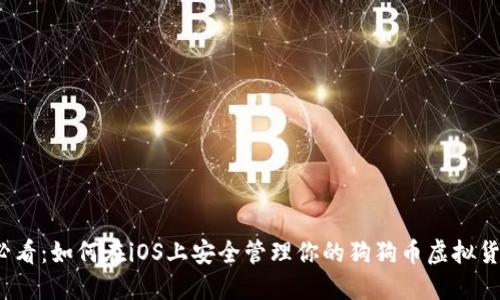 2025必看：如何在iOS上安全管理你的狗狗币虚拟货币钱包