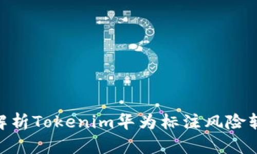 2025必看：深入解析Tokenim华为标注风险软件的应用与前景