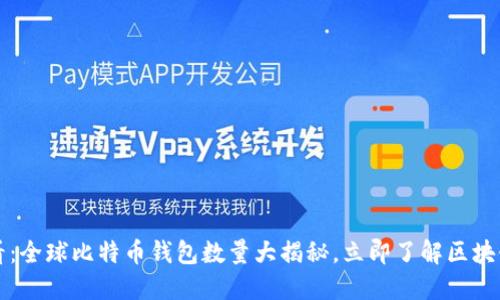 2025必看：全球比特币钱包数量大揭秘，立即了解区块链的未来！