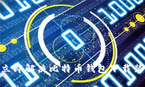 2025必看！立即解决比特币钱包下载装不下的问题
