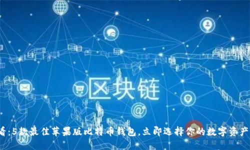 2025必看：5款最佳苹果版比特币钱包，立即选择你的数字资产保护工具