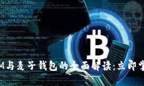 2025必须了解的IM与麦子钱包的全面解读：立即掌握数字货币的未来