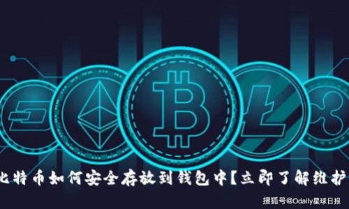 2025必看！比特币如何安全存放到钱包中？立即了解维护财富的方法！
