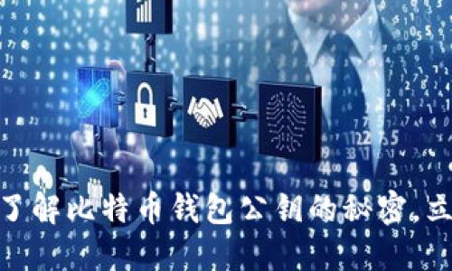 2025必看：深入了解比特币钱包公钥的秘密，立即获取安全指南