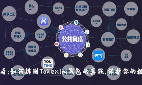 2025必看：如何辨别Tokenim钱包的真假，保护你的数字资产！