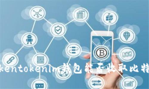 2025必看：Tokentokenim钱包能否收取比特币？立即了解！