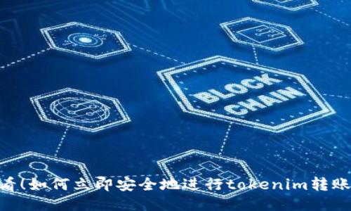 2025必看！如何立即安全地进行tokenim转账EOS指南