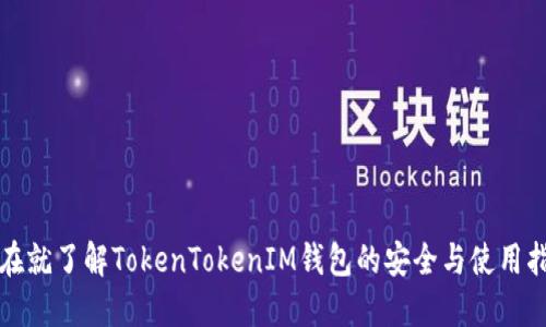 现在就了解TokenTokenIM钱包的安全与使用指南
