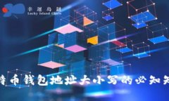 2025必看：比特币钱包地址大小写的必知知识与安
