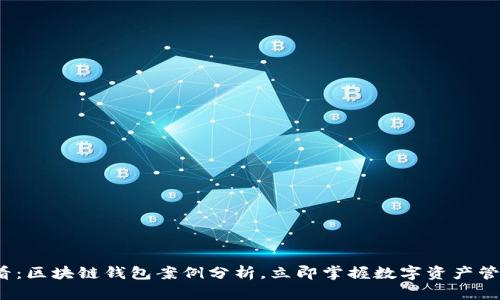 2025必看：区块链钱包案例分析，立即掌握数字资产管理的未来