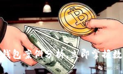 2025必看：区块链钱包案例分析，立即掌握数字资产管理的未来