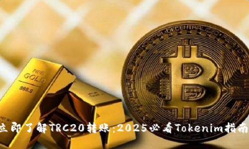 立即了解TRC20转账：2025必看Tokenim指南！