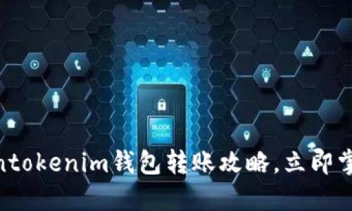 2025必看！Tokentokenim钱包转账攻略，立即掌握安全转账技巧