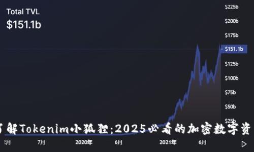 立即了解Tokenim小狐狸：2025必看的加密数字资产项目