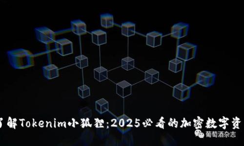 立即了解Tokenim小狐狸：2025必看的加密数字资产项目