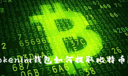 ### 2025必看：Tokenim钱包如何提取比特币？立即了解安全攻略！