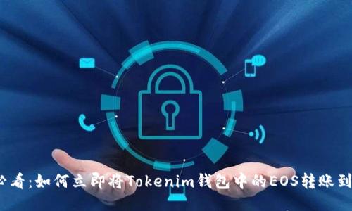 2025必看：如何立即将Tokenim钱包中的EOS转账到交易所