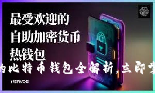 2025必看：去中心化的比特币钱包全解析，立即掌握加密资产安全之道