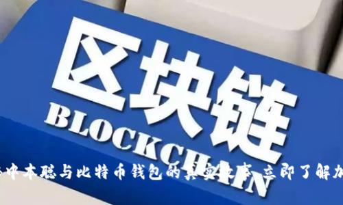 2025必看：揭秘中本聪与比特币钱包的真实故事，立即了解加密货币的未来！
