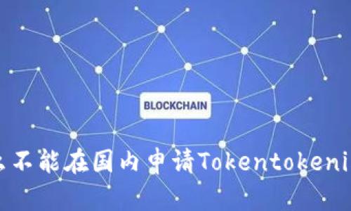 2025必看：为什么不能在国内申请Tokentokenim钱包？立即了解！