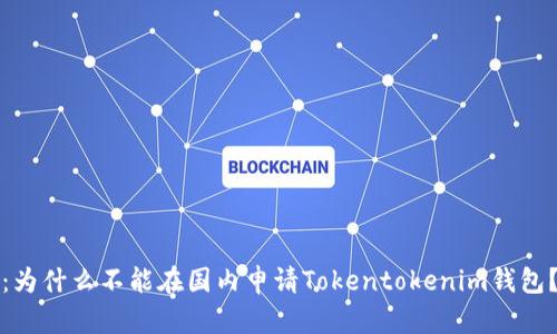 2025必看：为什么不能在国内申请Tokentokenim钱包？立即了解！