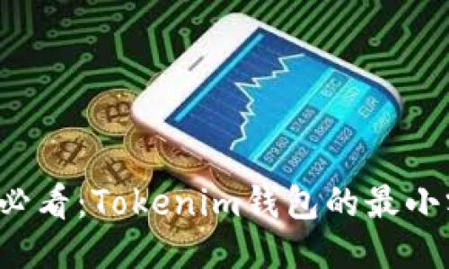 ### 2025年必看：Tokenim钱包的最小额度及使用指南