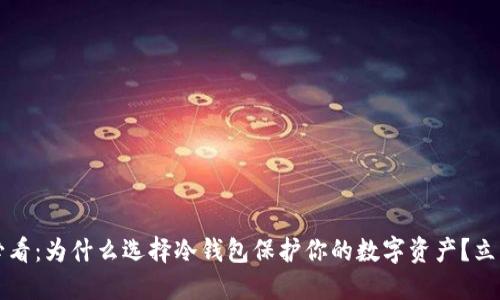 2025必看：为什么选择冷钱包保护你的数字资产？立即了解！