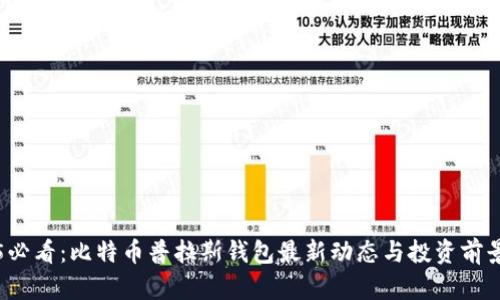 2025必看：比特币普拉斯钱包最新动态与投资前景分析