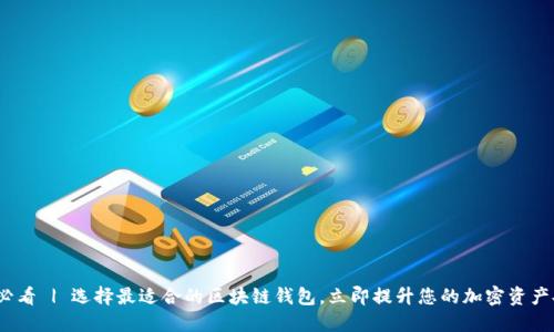 2025必看 | 选择最适合的区块链钱包，立即提升您的加密资产安全性