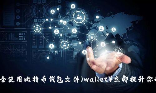 2025必看：如何安全使用比特币钱包文件（wallet）立即提升你的数字资产安全性！