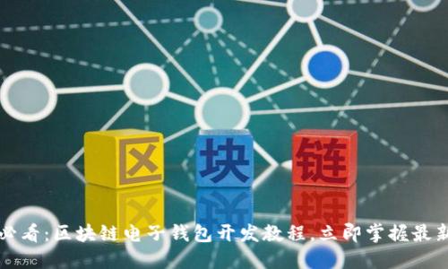 2025必看：区块链电子钱包开发教程，立即掌握最新技术！