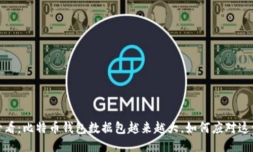 2025必看：比特币钱包数据包越来越大，如何应对这一挑战？