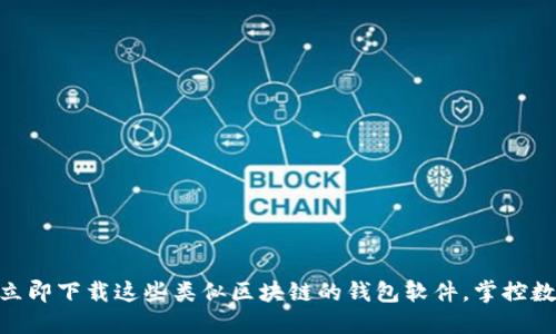 2025必看：立即下载这些类似区块链的钱包软件，掌控数字资产安全