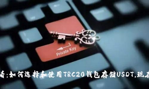 2025必看：如何选择和使用TRC20钱包存储USDT，现在就行动！