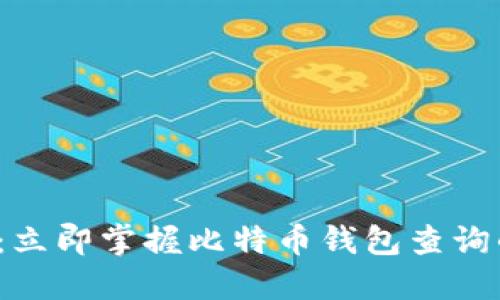 2025必看：立即掌握比特币钱包查询的终极指南