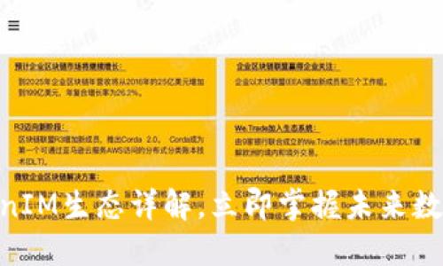 2025必看：TokenIM生态详解，立即掌握未来数字资产管理趋势
